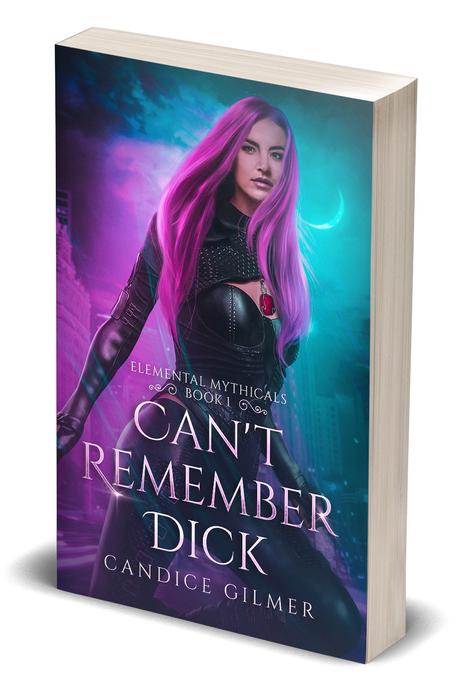Can't Remember Dick - Candice Gilmer Books