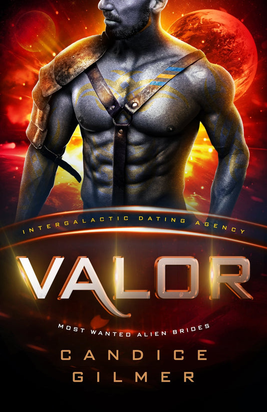 IDA - Valor - Candice Gilmer Books
