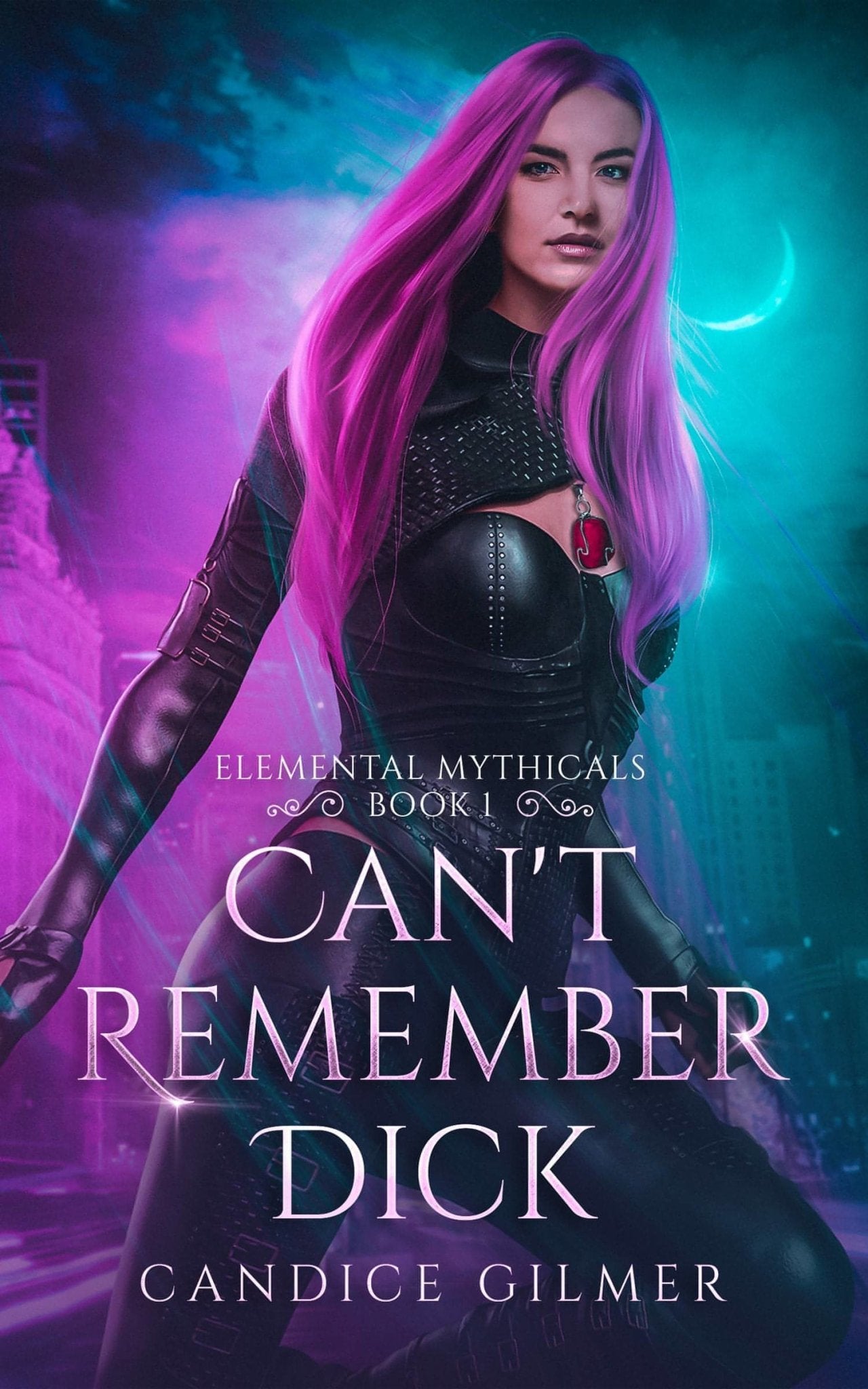 Can't Remember Dick - Candice Gilmer Books