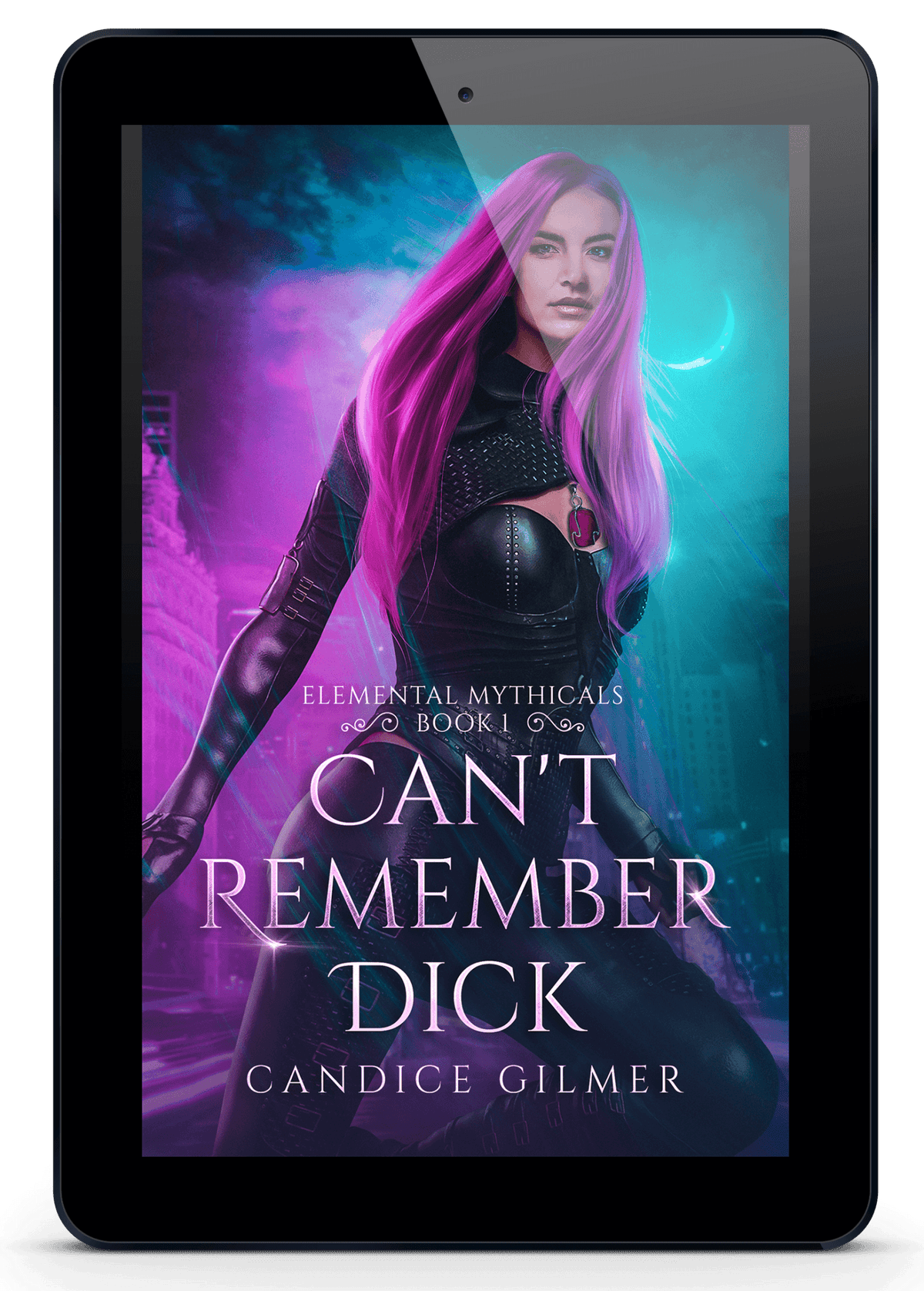 Can't Remember Dick - Candice Gilmer Books