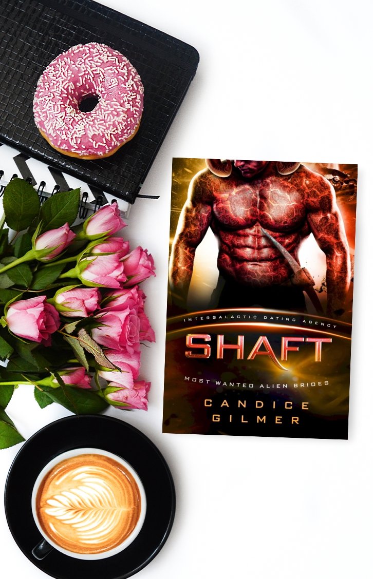 Shaft - Candice Gilmer Books