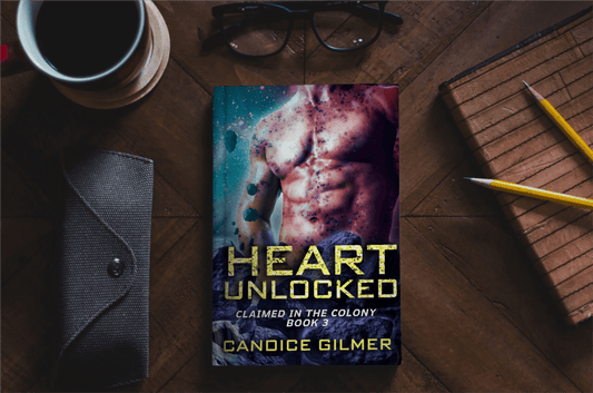 Sunshine is Work - Candice Gilmer Books