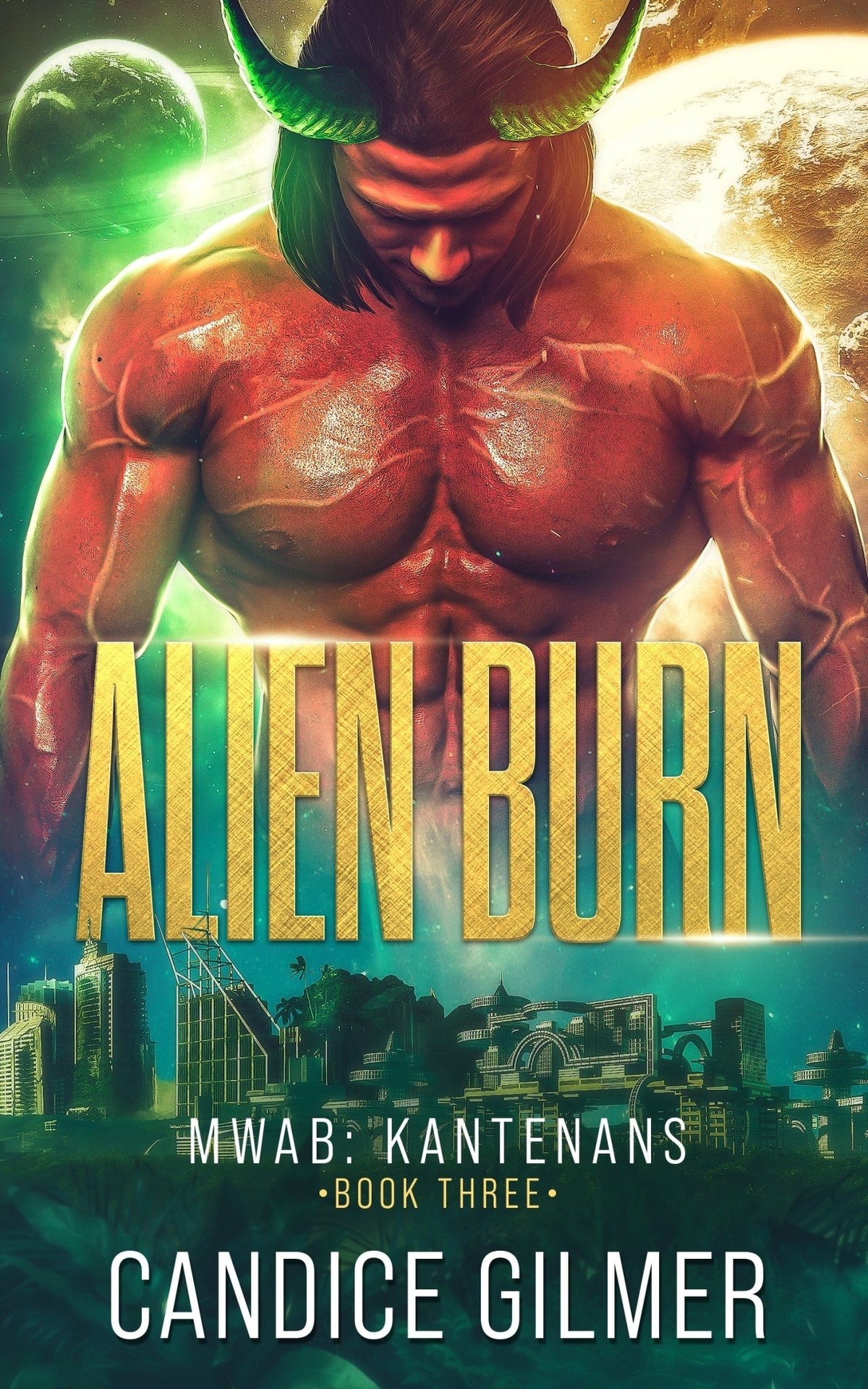 Alien Burn - Candice Gilmer Books