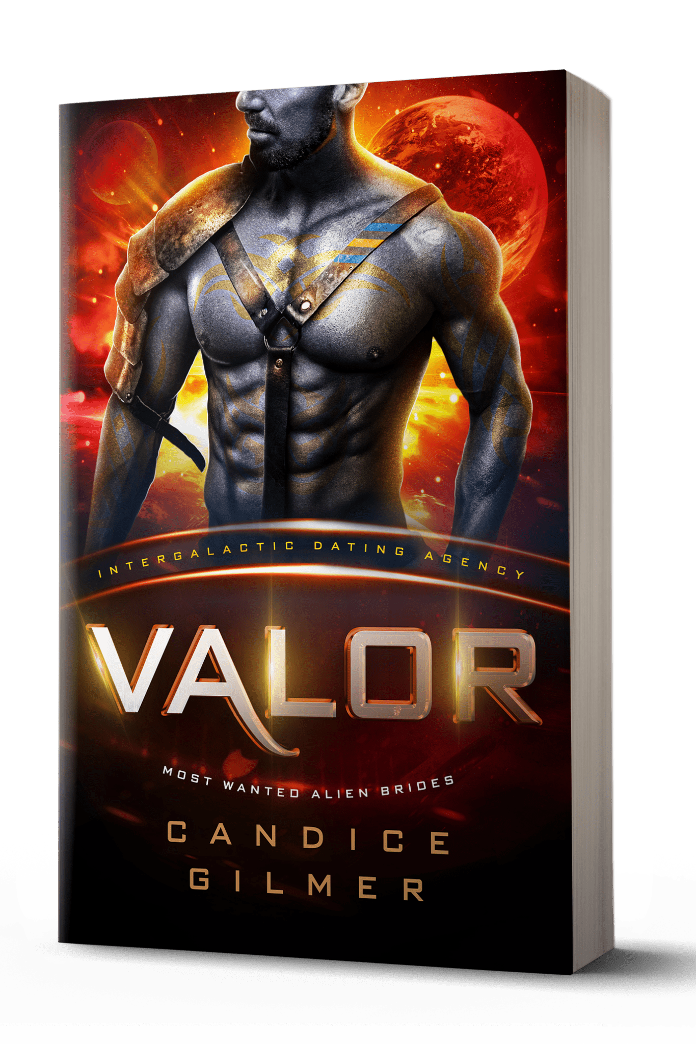 IDA - Valor - Candice Gilmer Books
