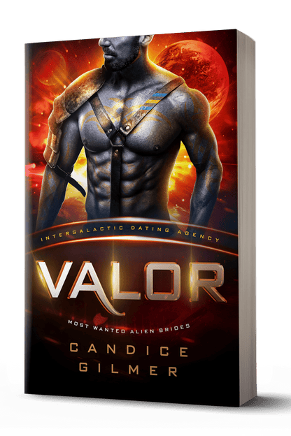 IDA - Valor - Candice Gilmer Books