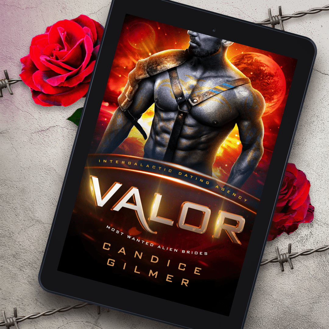 IDA - Valor - Candice Gilmer Books
