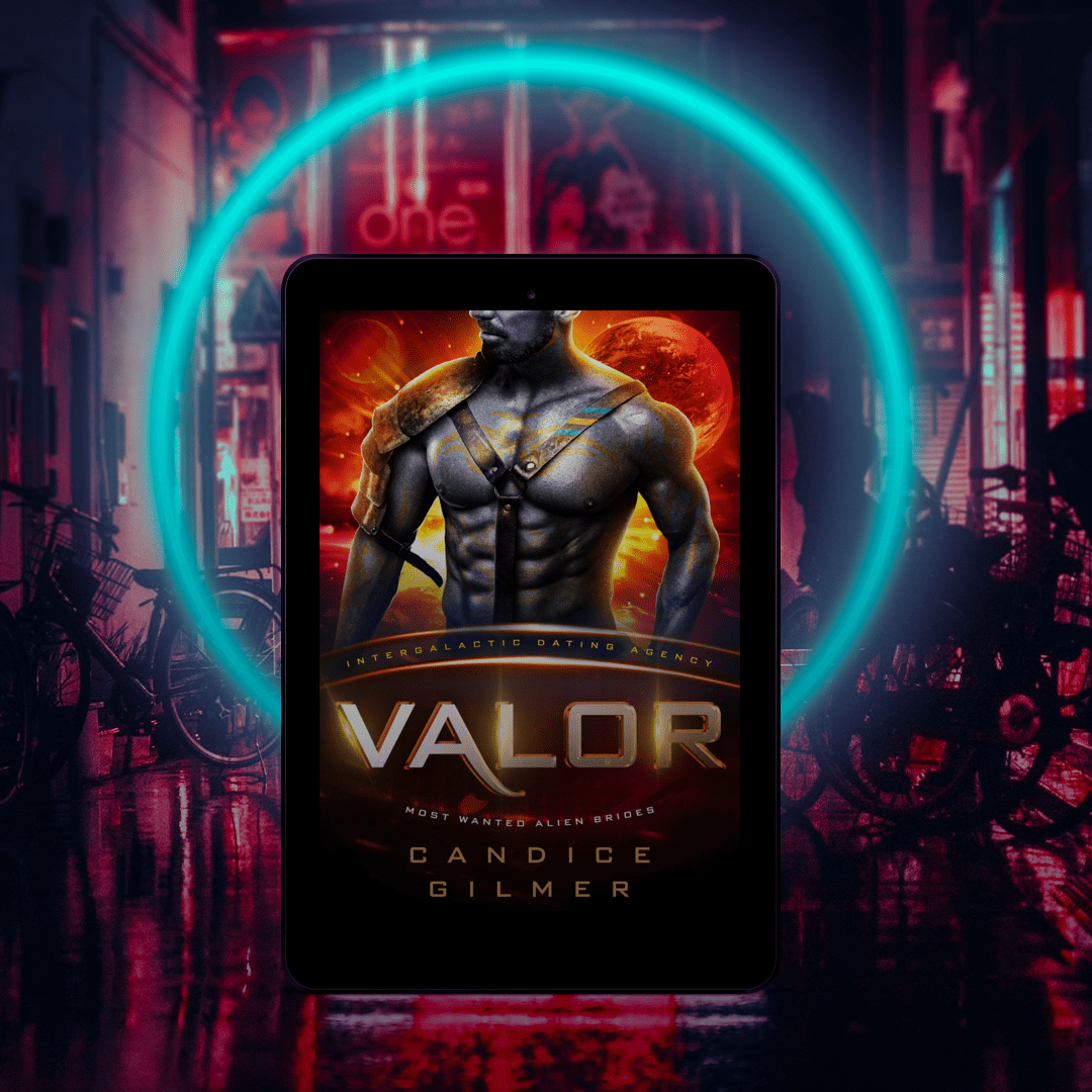 IDA - Valor - Candice Gilmer Books