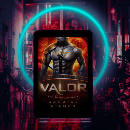 IDA - Valor - Candice Gilmer Books