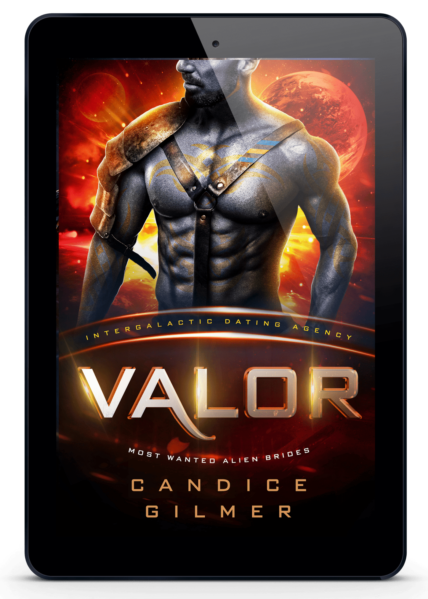 IDA - Valor - Candice Gilmer Books