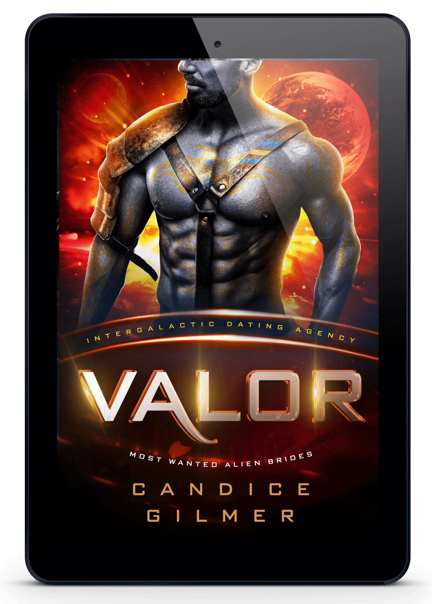 IDA - Valor - Candice Gilmer Books