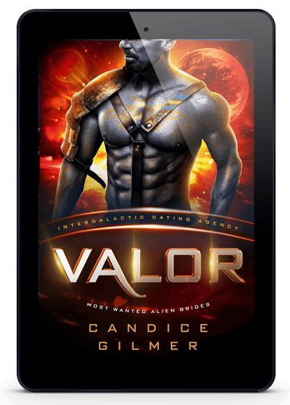 IDA - Valor - Candice Gilmer Books