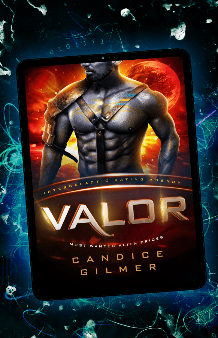 IDA - Valor - Candice Gilmer Books